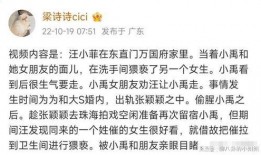 梁诗诗爆料汪小菲视频,真相背后引热议